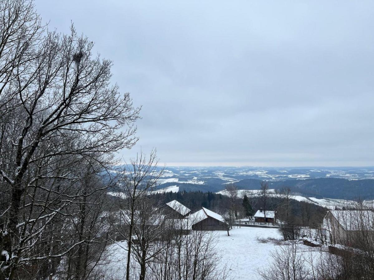Ferienwohnungen Bayerischer Wald Mit Pool Фрайунг Екстериор снимка