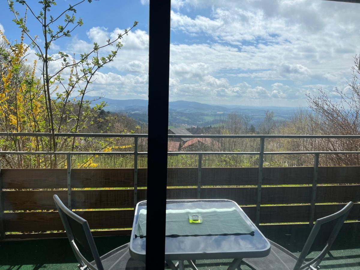Ferienwohnungen Bayerischer Wald Mit Pool Фрайунг Екстериор снимка