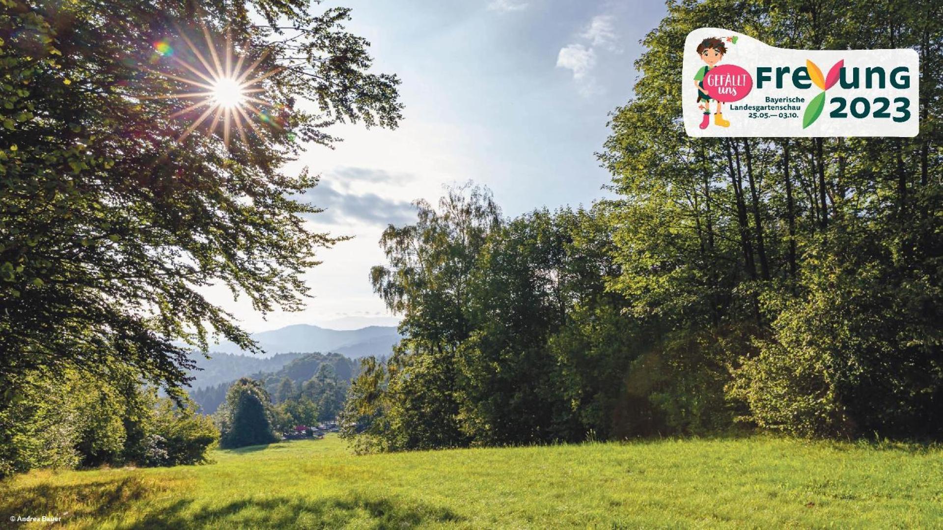 Ferienwohnungen Bayerischer Wald Mit Pool Фрайунг Екстериор снимка