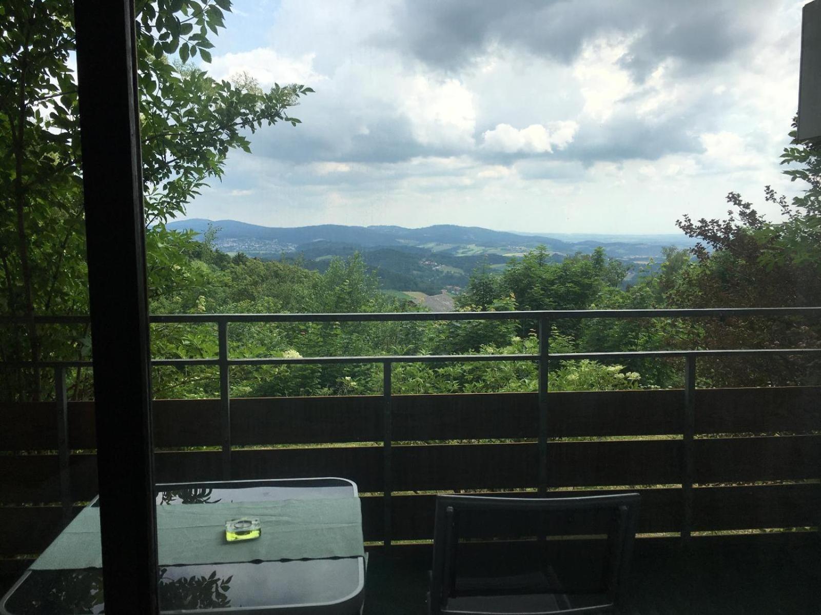 Ferienwohnungen Bayerischer Wald Mit Pool Фрайунг Екстериор снимка
